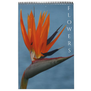 Blumenfotografie Kalender