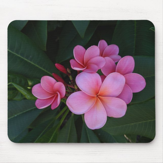 Blumenfotografie Mousepad (Vorne)