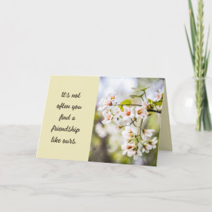 Blumenfotografie - Typografie mit langer Freundsch Karte