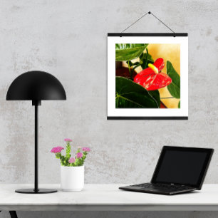 Blumenfotografie von Single Rotes Anthurium Blosso Poster