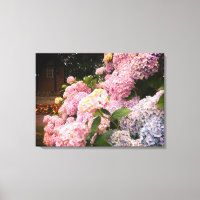 Blumenfotografie Wall Art Print