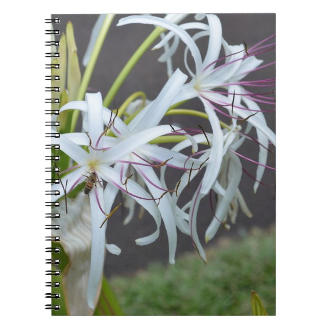 Blumenfragrance-Notebook Notizblock (Vorderseite)