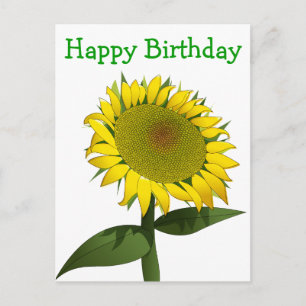 Blumenfrass Geburtstag Gelbe Sonnenblume Blume Postkarte