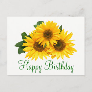 Blumenfrass Geburtstag Sonnenblumen Gelbe Blumen B Postkarte