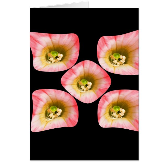 Blumenfreude (Vorne)