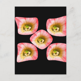 Blumenfreude Postkarte