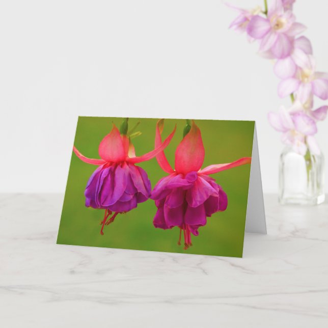 Blumenfreund Krebsförderung Karte (Orchidee)