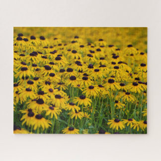Blumengarten - 16x20 - 520 Stck Jigsaw Puzzle