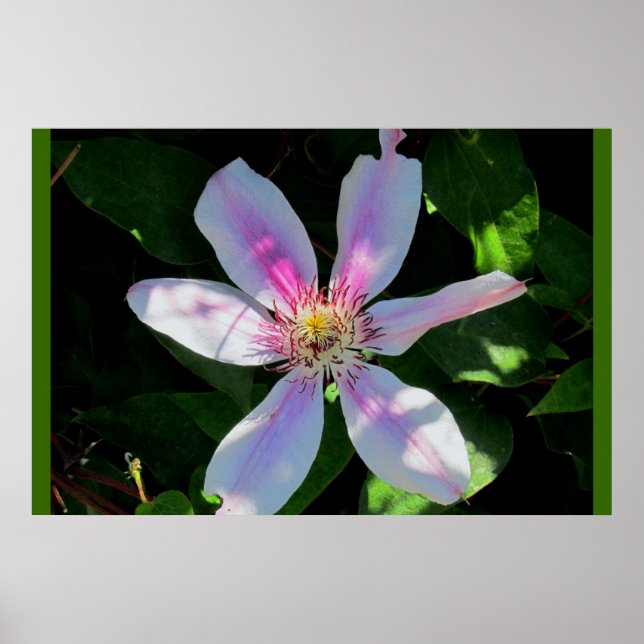 Blumengarten der Mama Poster (Vorne)