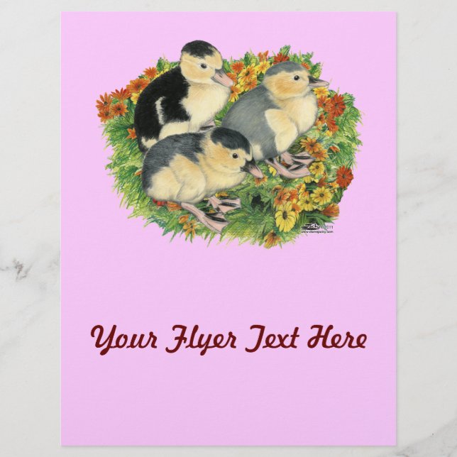Blumengarten Ducklings Flyer (Vorne)