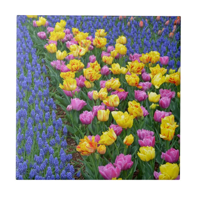 Blumengarten Fliese (Vorderseite)