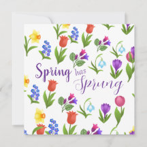 Blumengarten Frühling ist da