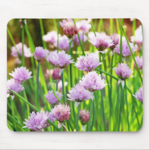 Blumengarten Mousepad