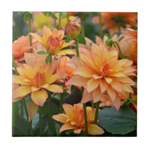 Blumengarten Orange dahlia Fliese