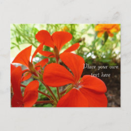 Blumengarten Postkarte