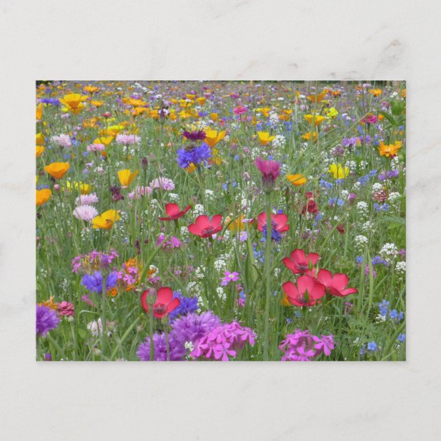 Blumengarten Postkarte (Vorderseite)