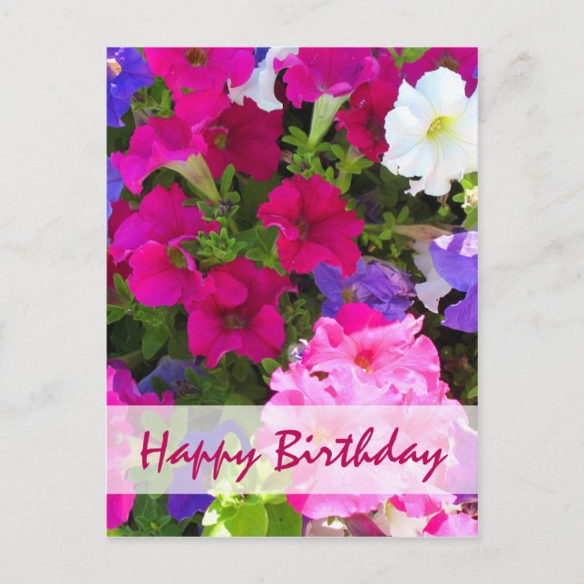 Blumengarten zum Geburtstag Postkarte (Vorderseite)