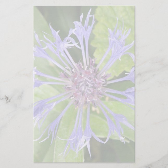 Blumengeschirr Briefpapier (Vorderseite)