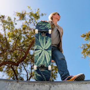 Blumengeschmack: gefrorene Pflanze Skateboard