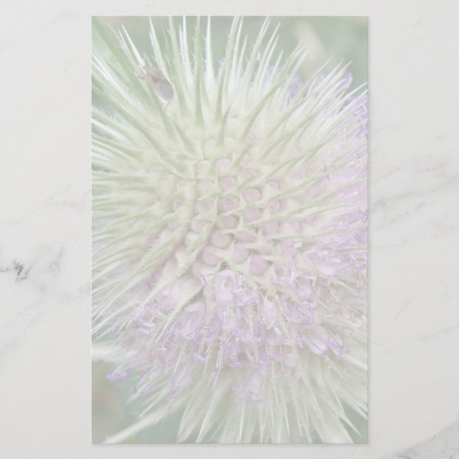 Blumengestationery Briefpapier (Vorderseite)