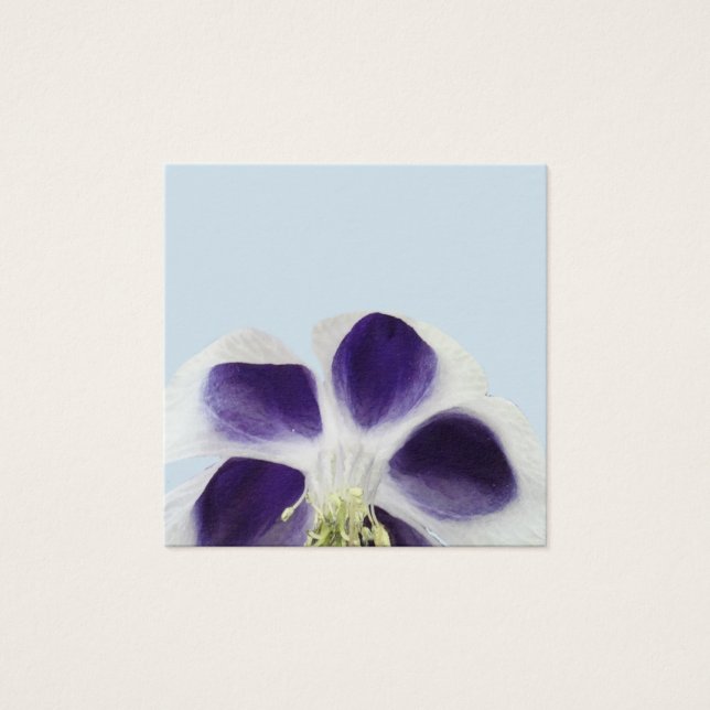 Blumengrafiken (Vorderseite)