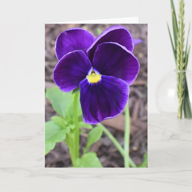 Blumengrußkarte Karte (Vorderseite)