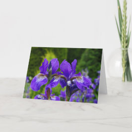 Blumengrußkarte, leeres Innere Karte