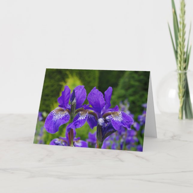 Blumengrußkarte, leeres Innere Karte (Vorderseite)