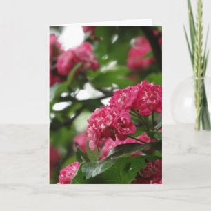 Blumengrußkarte, Standard Karte