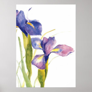 Blumeniris-Aquarell Poster