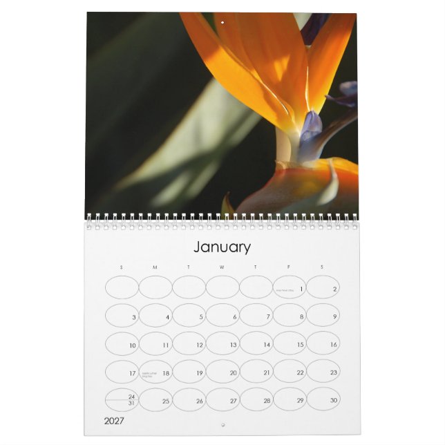 Blumenkalender 2010 kalender (Jan 2027)