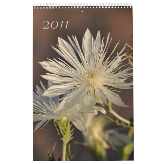 Blumenkalender 2011 kalender (Titelbild)