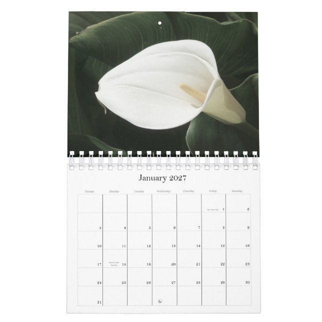 Blumenkalender 2011 kalender (Jan 2027)