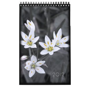Blumenkalender 2012 - 12 Single - Monate Kalender