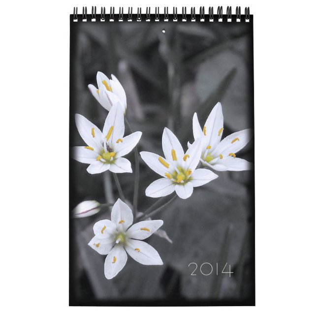 Blumenkalender 2014 - 12 Single - Monate Kalender (Titelbild)