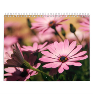 Blumenkalender Kalender