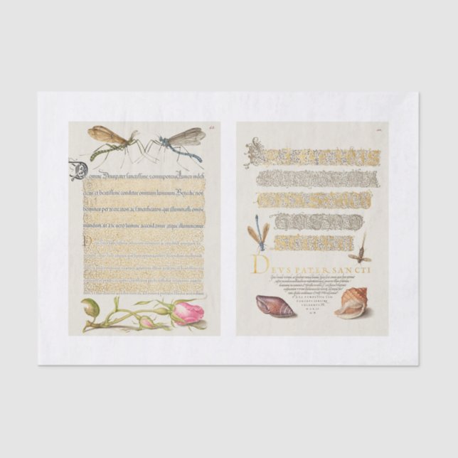 Blumenkalligrafie Seidenpapier (Vorderseite)