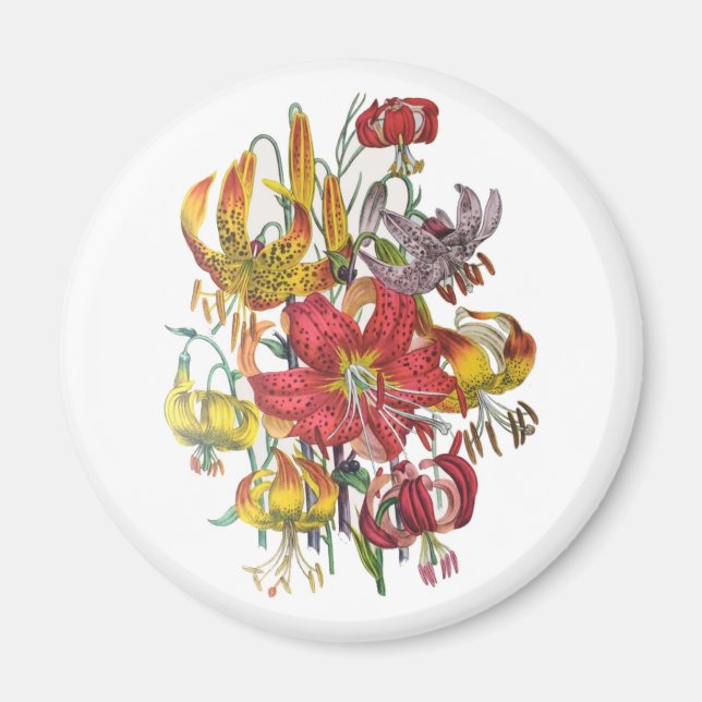 Blumenkarneval Magnet (Vorne)