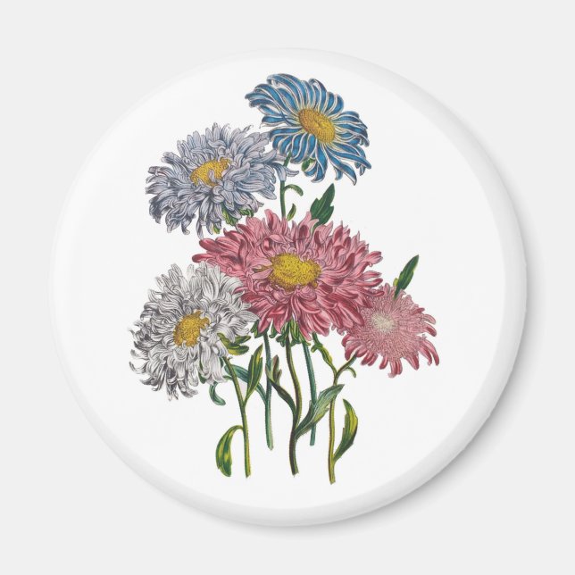 Blumenkarneval Magnet (Vorne)