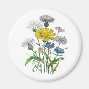 Blumenkarneval Magnet