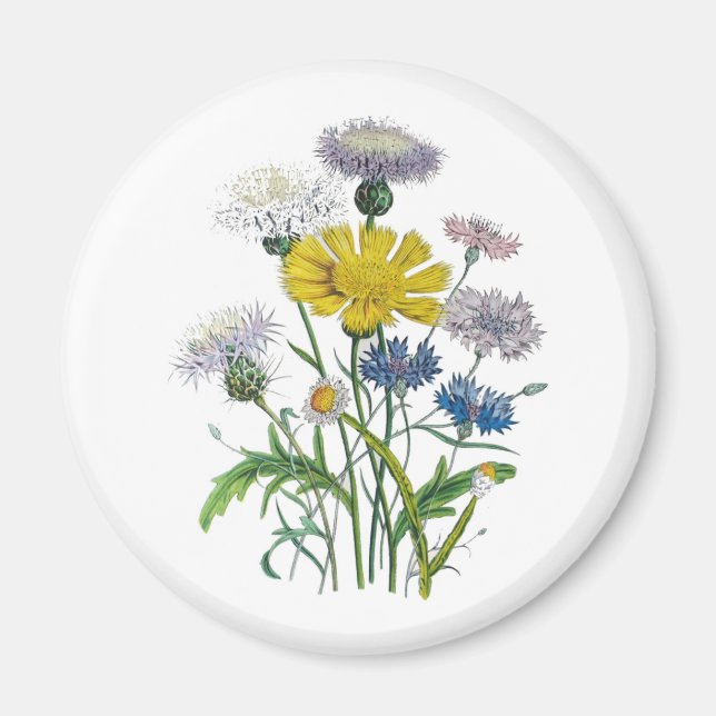Blumenkarneval Magnet (Vorne)
