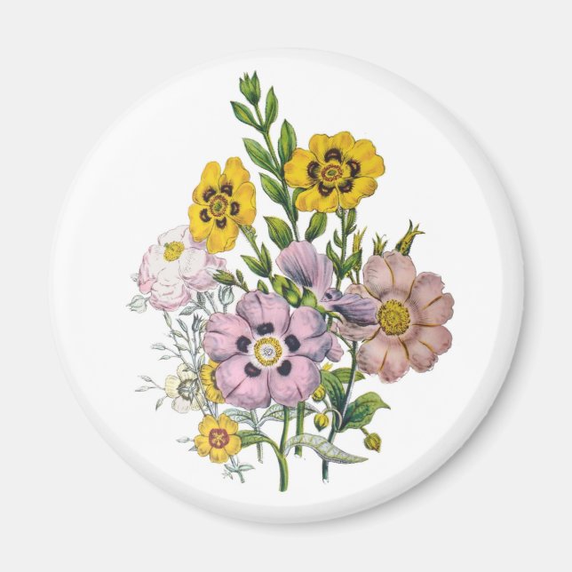 Blumenkarneval Magnet (Vorne)