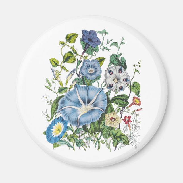 Blumenkarneval Magnet (Vorne)