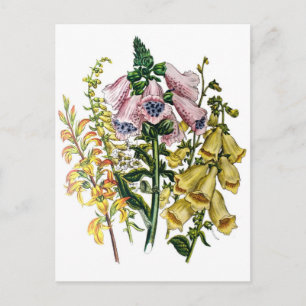 Blumenkarneval Postkarte