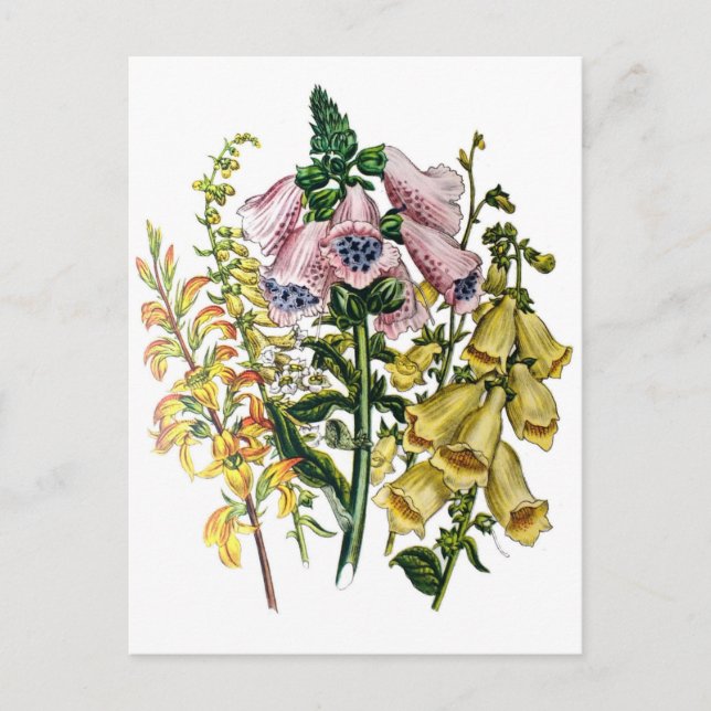Blumenkarneval Postkarte (Vorderseite)