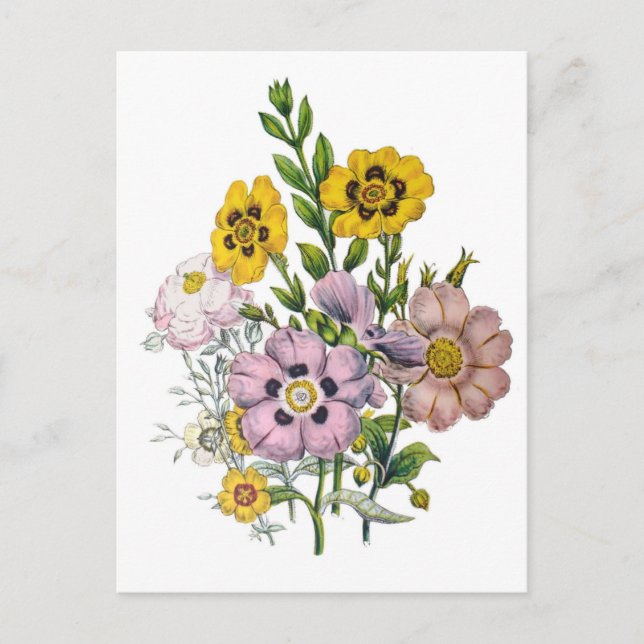Blumenkarneval Postkarte (Vorderseite)