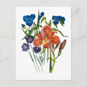 Blumenkarneval Postkarte