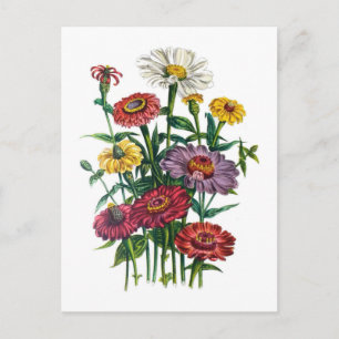 Blumenkarneval Postkarte