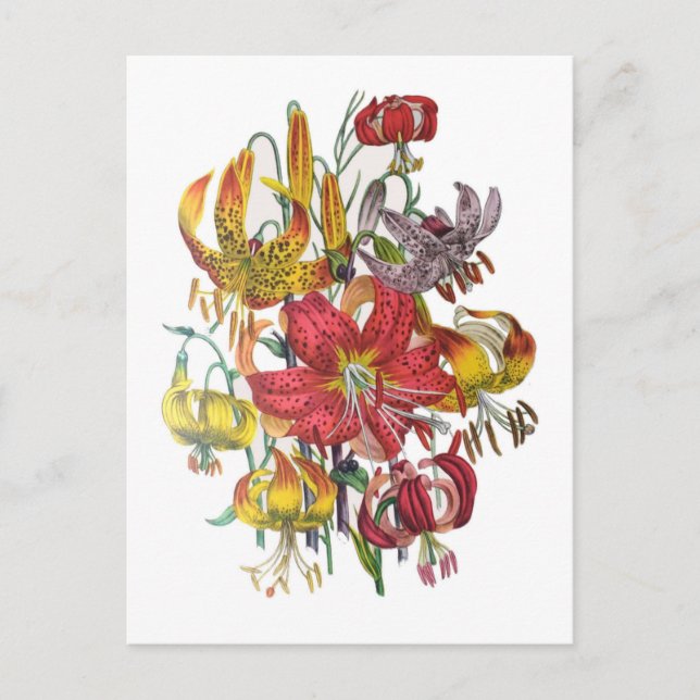 Blumenkarneval Postkarte (Vorderseite)