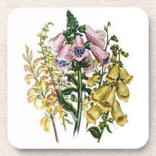 Blumenkarneval Untersetzer
